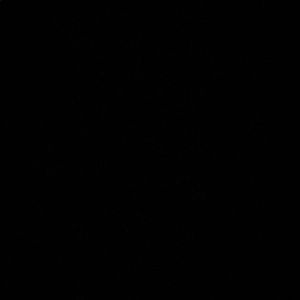 Meet your Posher, Ali